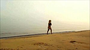 Desert Island Survival Challenge