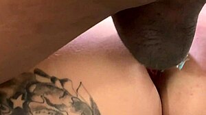 Assisti Minha Esposa Dando Para 2 Dotados Ela Não Aguentou O Anal Gritou Muito