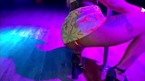 Discover the secrets of a swing house