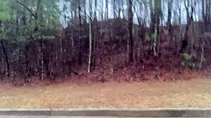 clitlicker662 update 32 image 1340