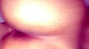 Is This Carioca's BJ With A Hot Brunette The Hottest Amateur Sex?