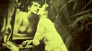 what secrets hide in dark lantern's vintage life?