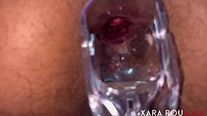 bbw babe spreads legs for anal speculum gaping at home