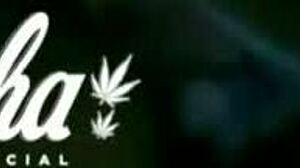 i fucked the young girl after carnival in the public bathroom