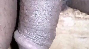 Cukur Burung Hitam Besar Saya untuk Uang Makan Siang Hari Ini