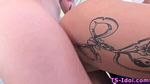 shemale drills babe's ass hard before intense blowjob scene