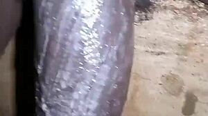 Just shaving my big black cock for some lunch cash today