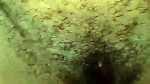 Wow! Young Evangelical Shows Huge Tits and Tasty Pussy!