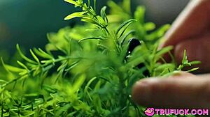 Stepsister Kenzie Reeves Masturbates Loudly