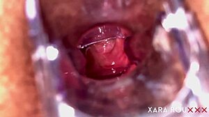 bbw babe spreads legs for anal speculum gaping at home