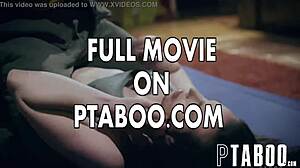 Casey Calvert Loses Bet to Stuntman