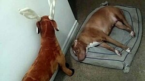 More ways to show zodiac patience without masturbating