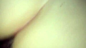 Bbc Pounds Big Booty Latina Ass Wet And Hard