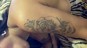 Amateur ebony girl next door sucks and fucks homemade style.