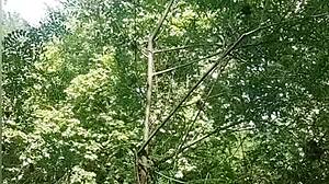 Masturbating in River with Voyeur!