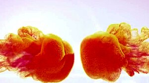 Wetandpissy Piss Soaked Toy Play