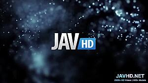 Why is this asian pussy wet vol 19