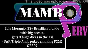 Lola Morango, 22y Brazilian blonde, takes 3 huge dicks in wild anal dap. Big breast babe rides hard!