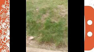 Flashing My Cock on Ometv: Direct and Raw Exposure