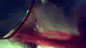 mixed bbw amateurs share homemade sucking and handjob fun with fat cocks