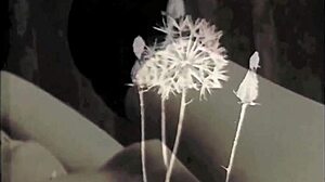 My Secret Life the Worlds Greatest Erotic Story Vintage Silent Movies