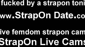 have you tried a strapon before?