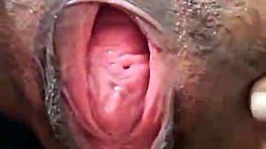 Brenda Floripa Masturbating With Ripped Clothes