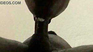 i kept sucking even as he came with a huge load in my mouth