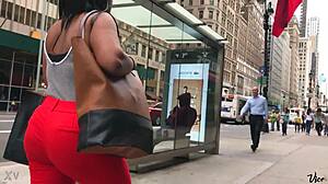 beautiful piece of chocolate