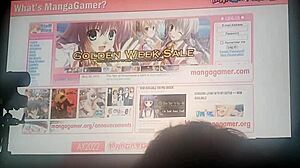 the livestream from 18 anime expo 2022 by mangagamer discusses the now and future of visual novels.