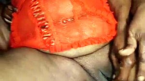 Nigarchrist Update 1384 Featuring Petal on June 11 2025