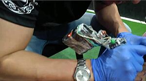 Bastidores Da Tattoo Com Melissa Devassa