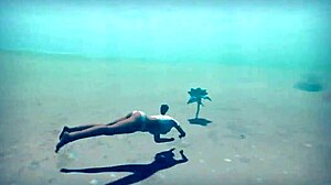 Bold 3D Game Adventure: Beasts in the Sun Episode 1