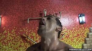 nicole marques sucks and tugs cock