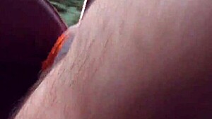 hairy mature flashing upskirt on the carriage