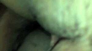 Latina Bent Over For Big Black Cock Doggy Style