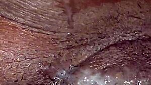 Intense oral session eating wet ebony pussy leading to orgasm