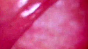 japanese story where you cum with big cock