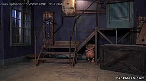 Huge Tits Tanned Beauty Fucked BDSM