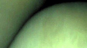 Look at that big fat ass booty shaking – it's huge and juicy.