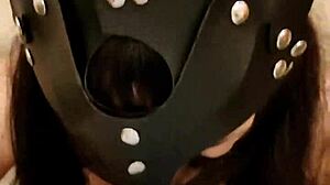 Beautiful kitten in homemade amateur video