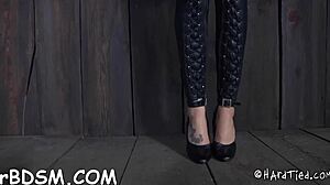 Intense Blowjob Hardcore Action!