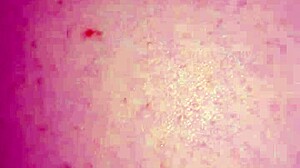 Wife jerks, blows, and fucks in doggystyle until cum covers her asshole