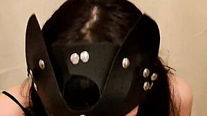 Beautiful kitten in homemade amateur video