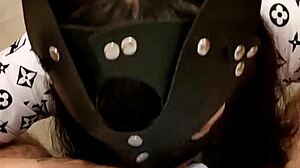 Beautiful kitten in homemade amateur video