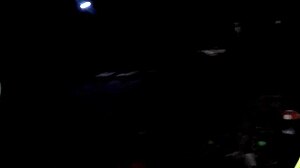 That blowjob on the net