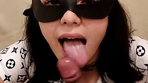 Beautiful kitten in homemade amateur video