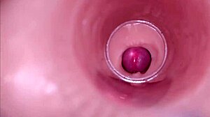 Female Insemination with Internal Camera Showing Deep Ejaculation