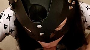 Beautiful kitten in homemade amateur video