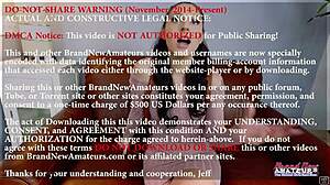 Busty Inked Hottie Raven Lane Sucks Big Cock And Gets Pussy Pounded